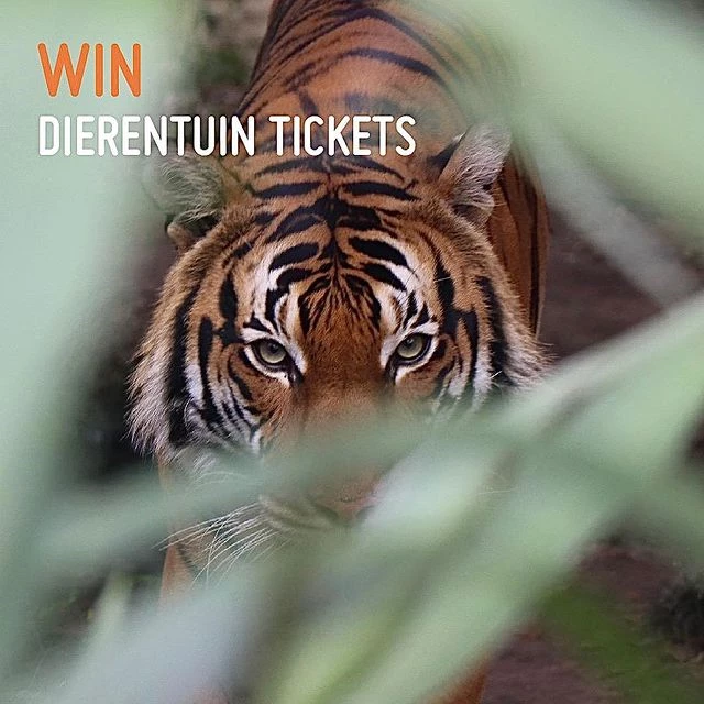 Met XT luis naar de dierentuin, volg XT luis op Instagram